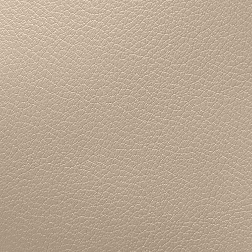 Cleo Structured Tote Bag